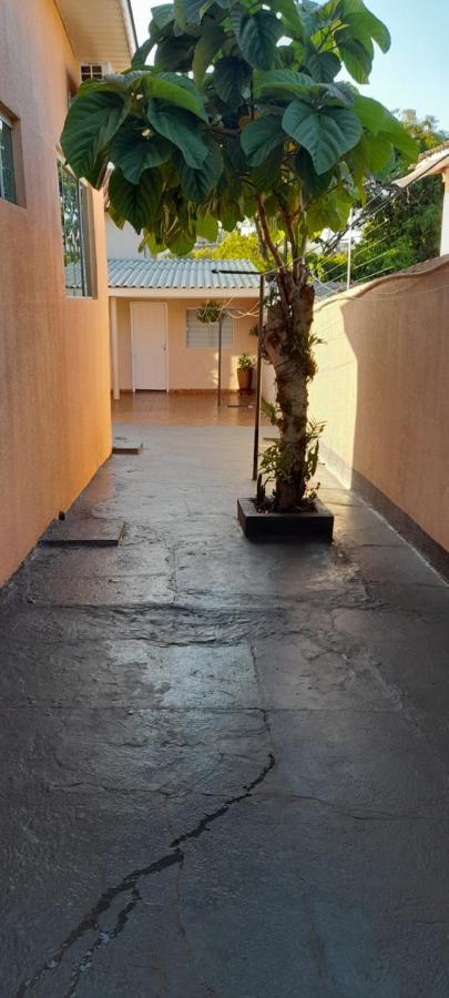 Appartement Quitinete ótima localização à Foz do Iguaçu Extérieur photo